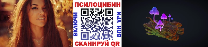 Псилоцибиновые грибы Psilocybe  Рудня 