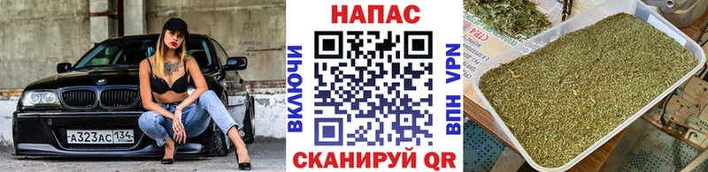 Бошки Шишки планчик  Рудня 